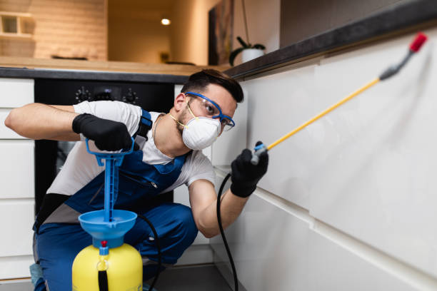 Best Insect Control  in Pelican Bay, FL