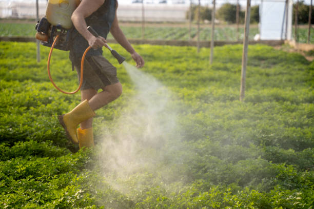 Pest Control for Restaurants in Pelican Bay, FL