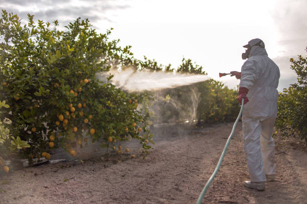 Best Pest Inspection Near Me  in Pelican Bay, FL